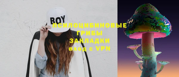 Альфа ПВП Горно-Алтайск