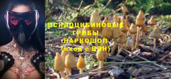 Альфа ПВП Горно-Алтайск