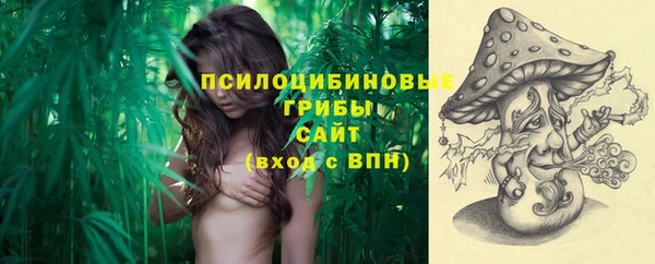 Альфа ПВП Горно-Алтайск