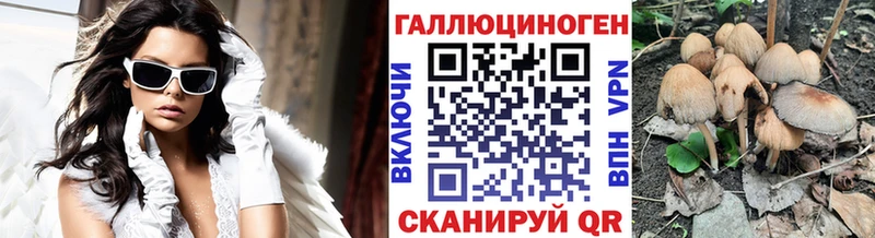 Псилоцибиновые грибы GOLDEN TEACHER  KRAKEN ONION  Светлый 